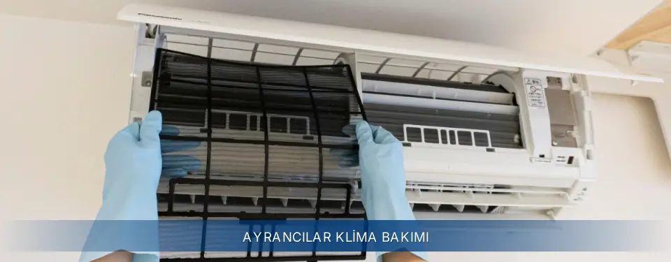Ayrancılar İlçemi Electrolux Klima Bakımı