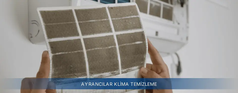 Ayrancılar İlçemi Electrolux Klima Temizleme